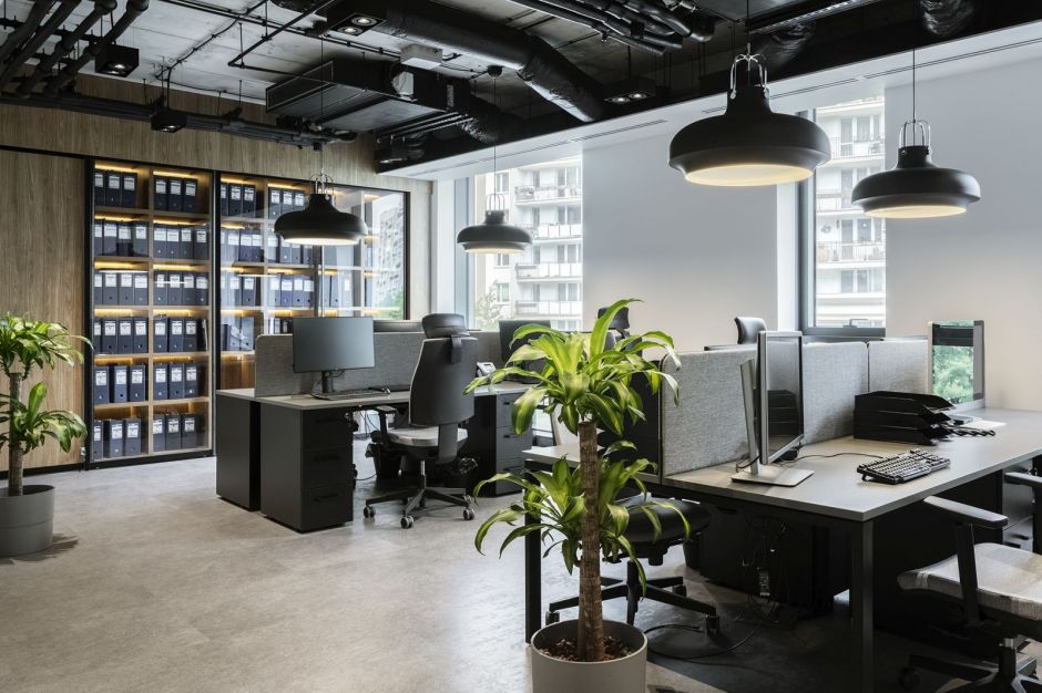 Thuê cây cảnh nội thất văn phong giá rẻ