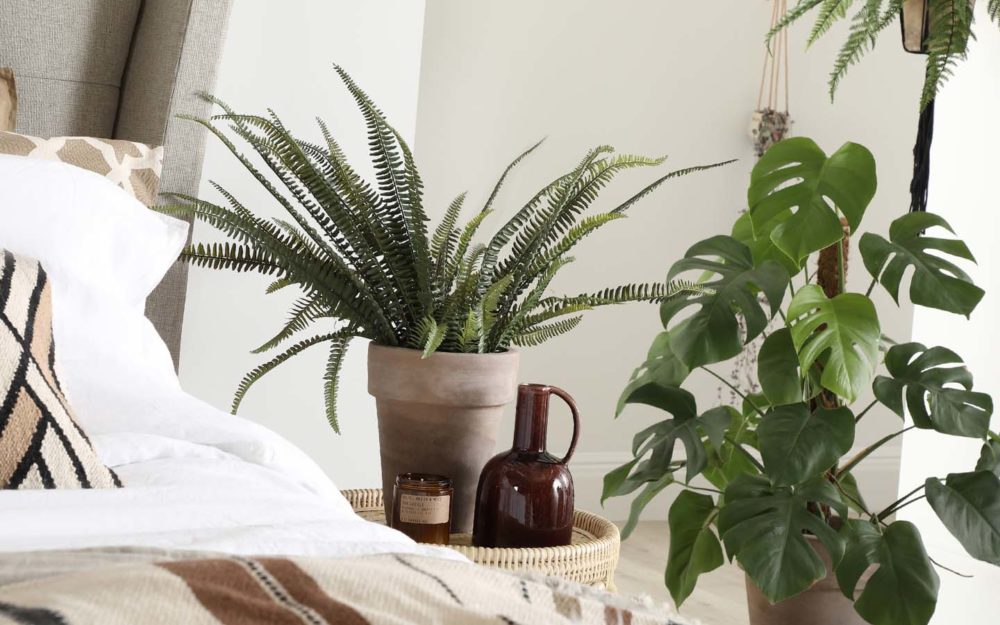 trồng cây cảnh trong phòng ngủ