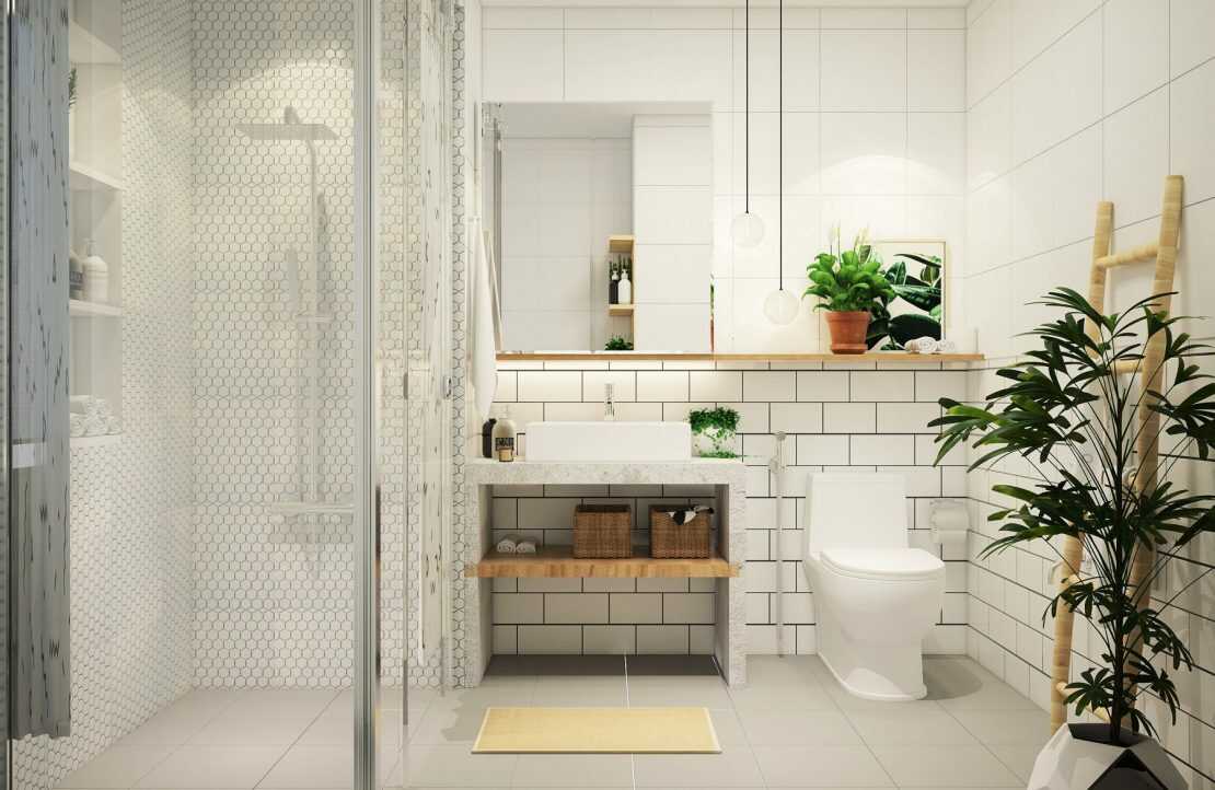 lựa chọn cây trồng trong nhà vệ sinh phù hợp
