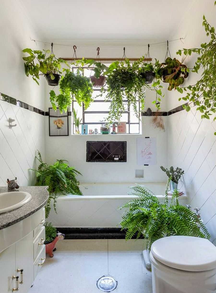 trang trí cây xanh cho nhà vệ sinh