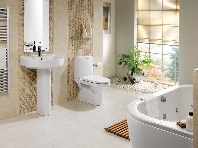 cây để nhà vệ sinh