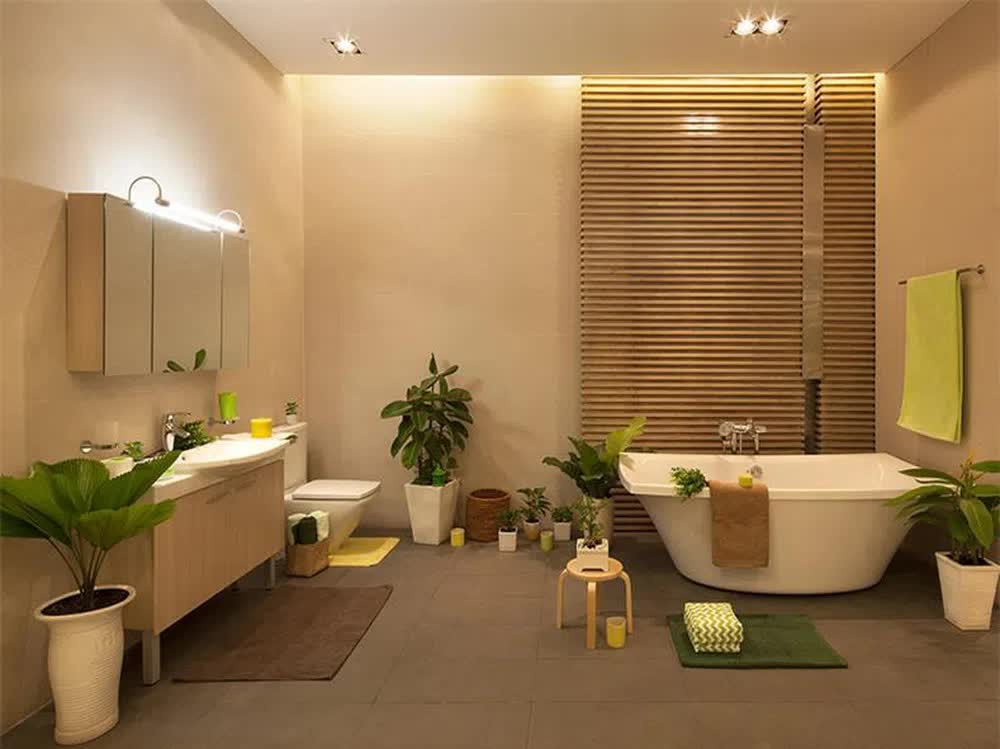 cây trồng trong nhà vệ sinh giúp khử mùi, cân bằng độ ẩm