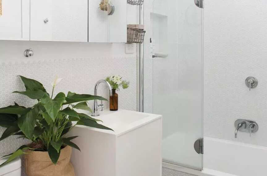 cây để nhà vệ sinh