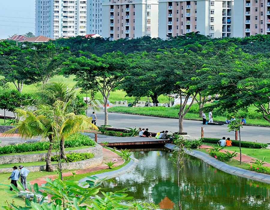cây xanh đô thị đóng vai trò quan trọng trong đời sống