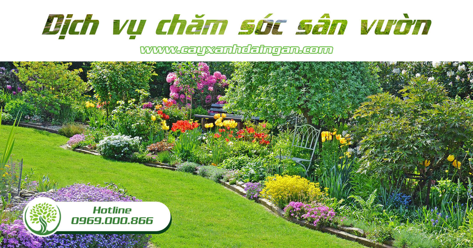 Dịch vụ chăm sóc sân vườn chuyên nghiệp | Cây Xanh Đại Ngàn