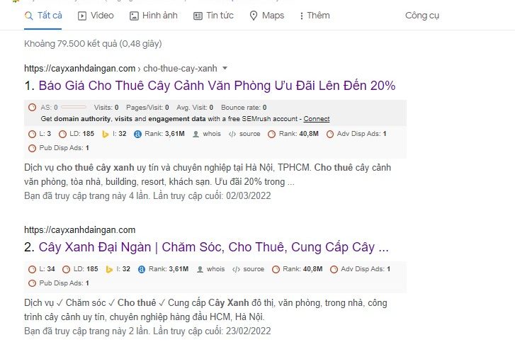 tìm dịch vụ cho thuê cây cảnh sự kiện tại hcm ở đâu