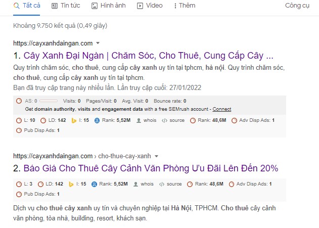cho thuê cây cảnh Hà Nội