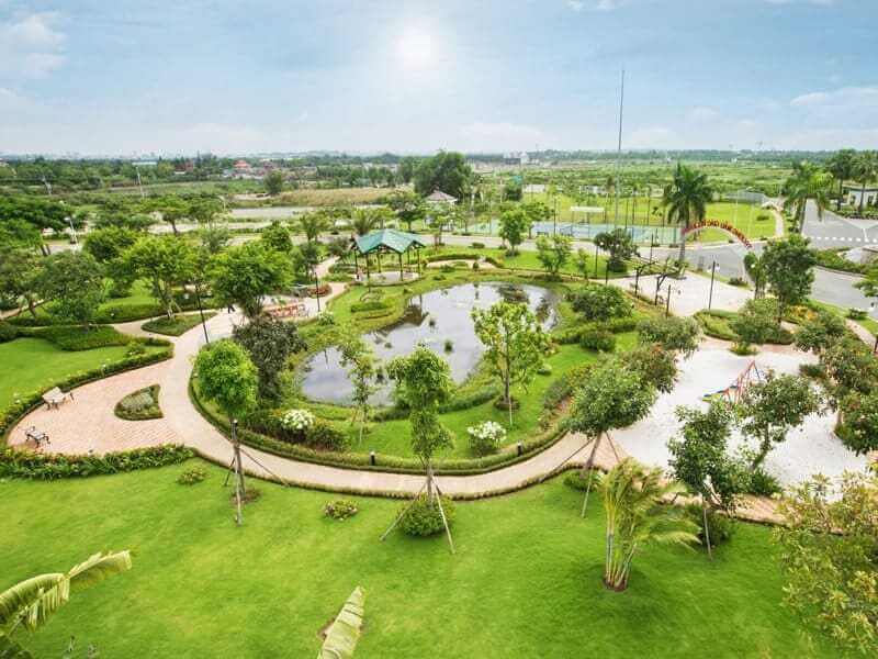 cung cấp cây xanh trọn gói giá sỉ Bình Dương