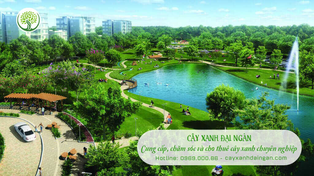 Công ty cung cấp cây xanh tại Bình Dương | Cây Xanh Đại Ngàn
