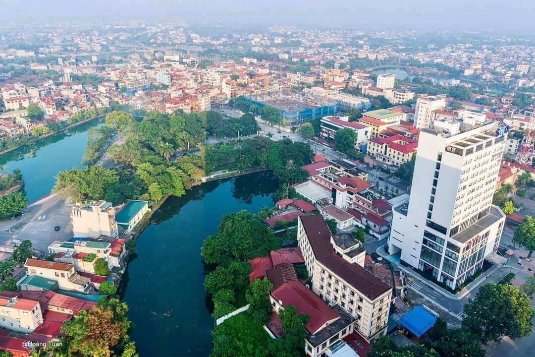 cung cấp thi công cây công trình chuyên nghiệp ở Bắc Giang | Cây Xanh Đại Ngàn