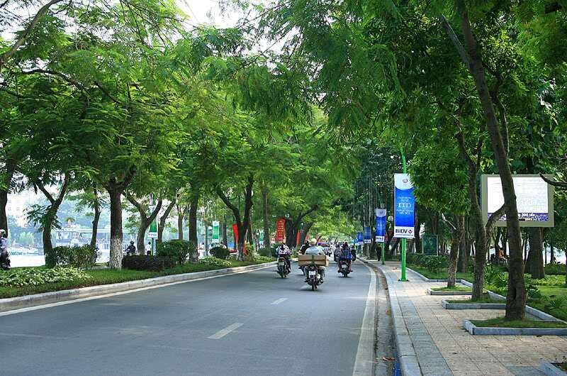 Cây xanh bóng mát Bắc Giang