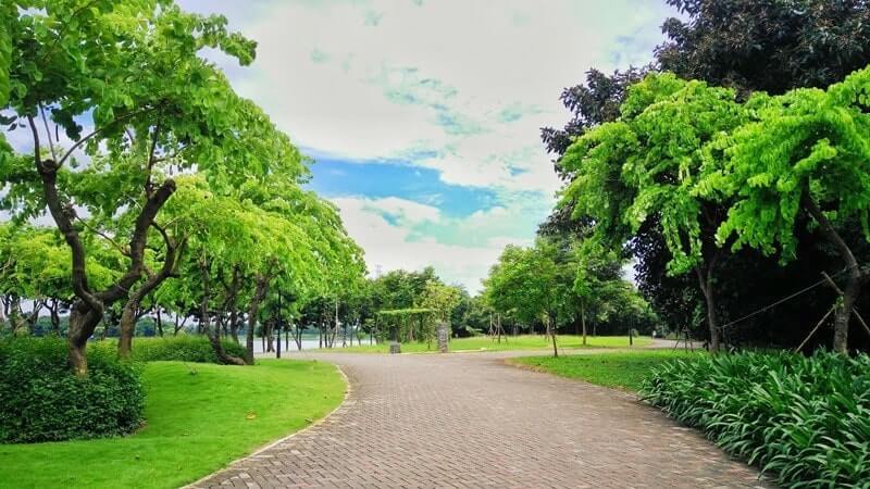 thiết kế cảnh quan công trình với nhiều cây xanh giúp bảo vệ môi trường