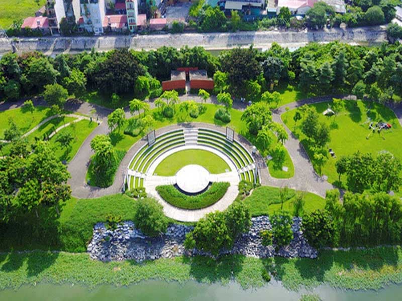 Cung cấp cây xanh đô thị HCM | Cây Xanh Đại Ngàn