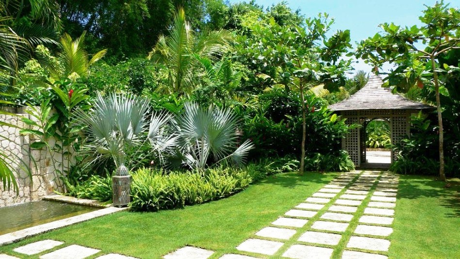 cung cấp cây xanh sân vườn biệt thự hcm | Cây Xanh Đại Ngàn