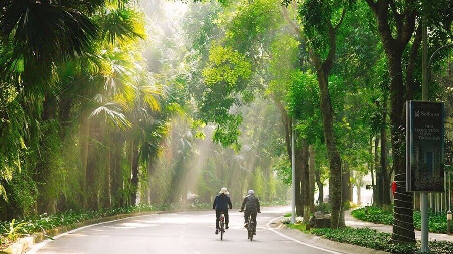 Trồng cây xanh công viên tại Hưng Yên