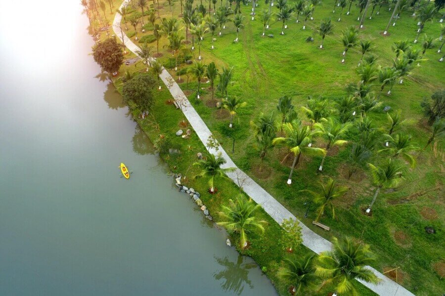 Cung cấp cây cảnh ở Hưng Yên