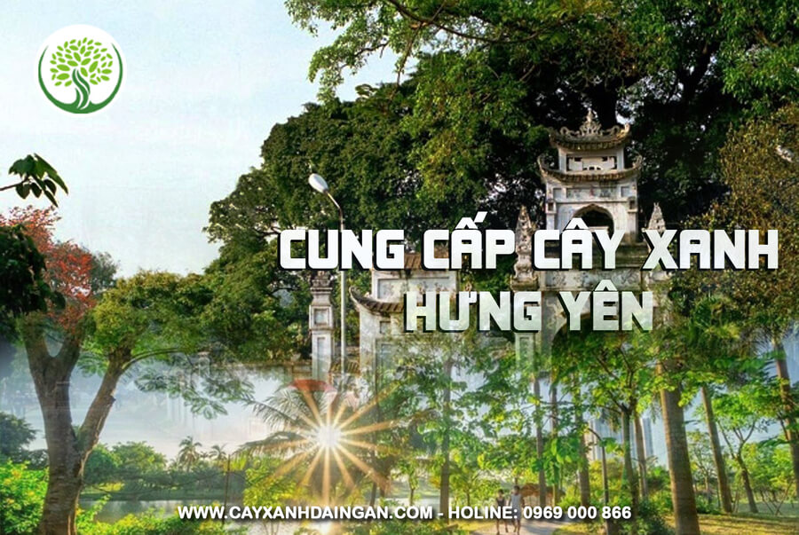 cung cấp cây xanh hưng yên | Cây Xanh Đại Ngàn