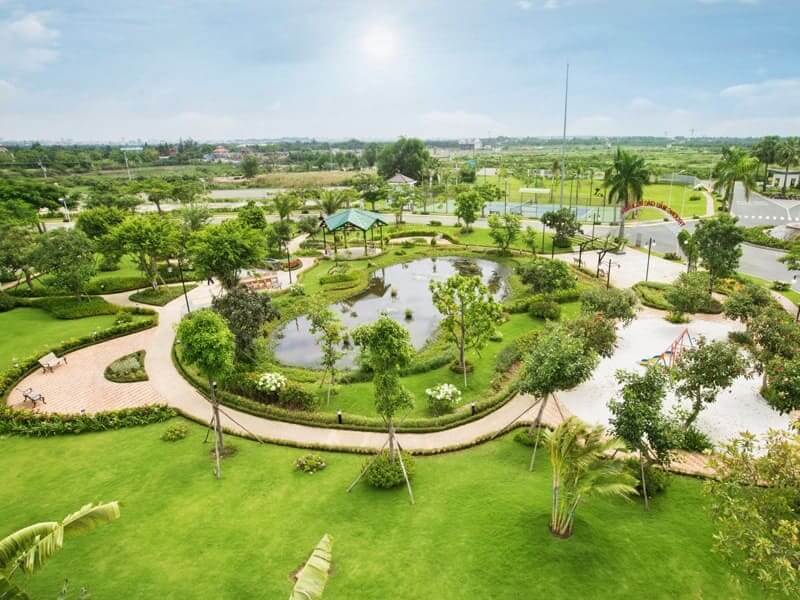 Cung cấp trồng cây xanh khu đô thị | Cây Xanh Đại Ngàn