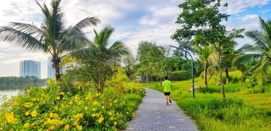 Công ty cung cấp cây cảnh Hưng Yên | Cây Xanh Đại Ngàn