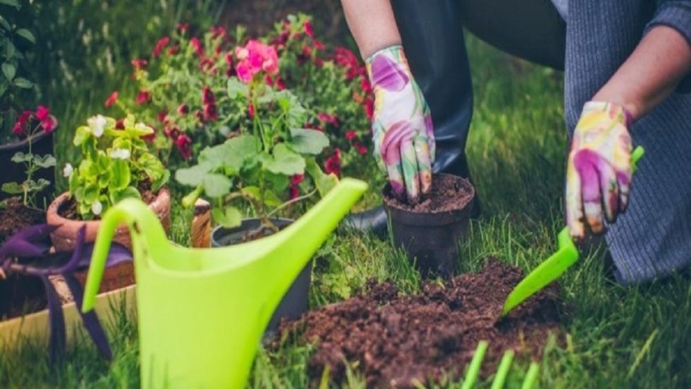 dịch vụ chăm sóc sân vườn HCM uy tín