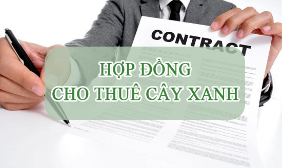hợp đồng cho thuê cây xanh mẫu chuẩn