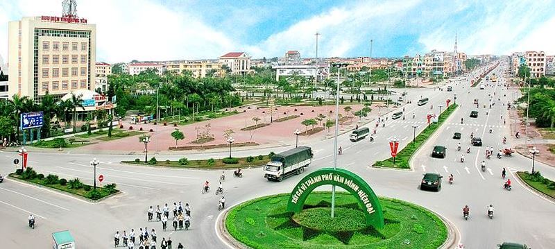 Công ty cung cấp cây xanh Hưng Yên | Cây Xanh Đại Ngàn