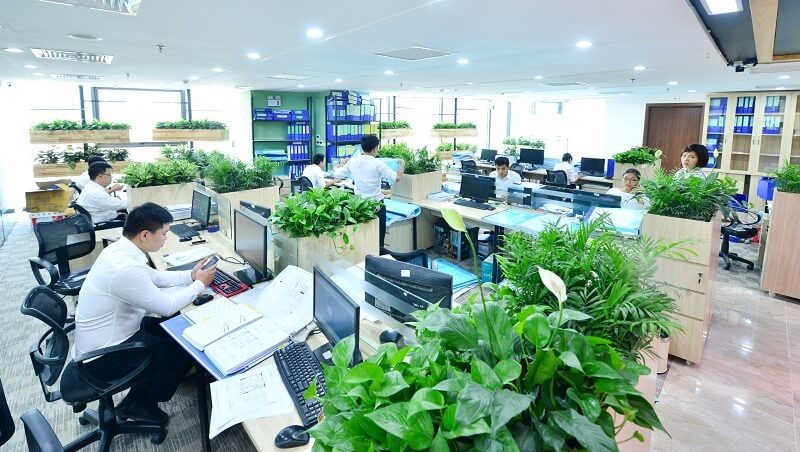 Báo Giá Cho Thuê Cây Cảnh Văn Phòng Ưu Đãi Lên Đến 20%