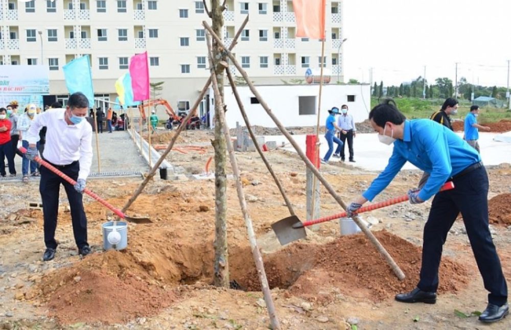 Trồng cây bóng mát công trình nhà ở cộng đồng