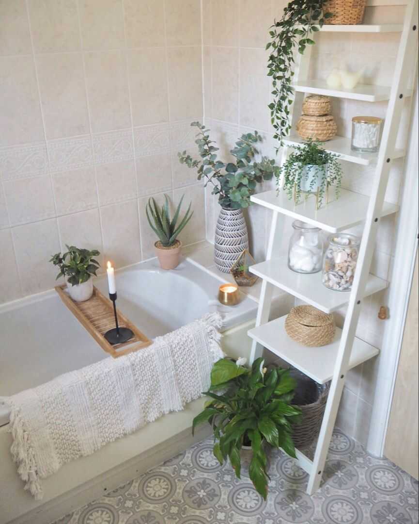 Cây trồng trong nhà vệ sinh, phòng tắm