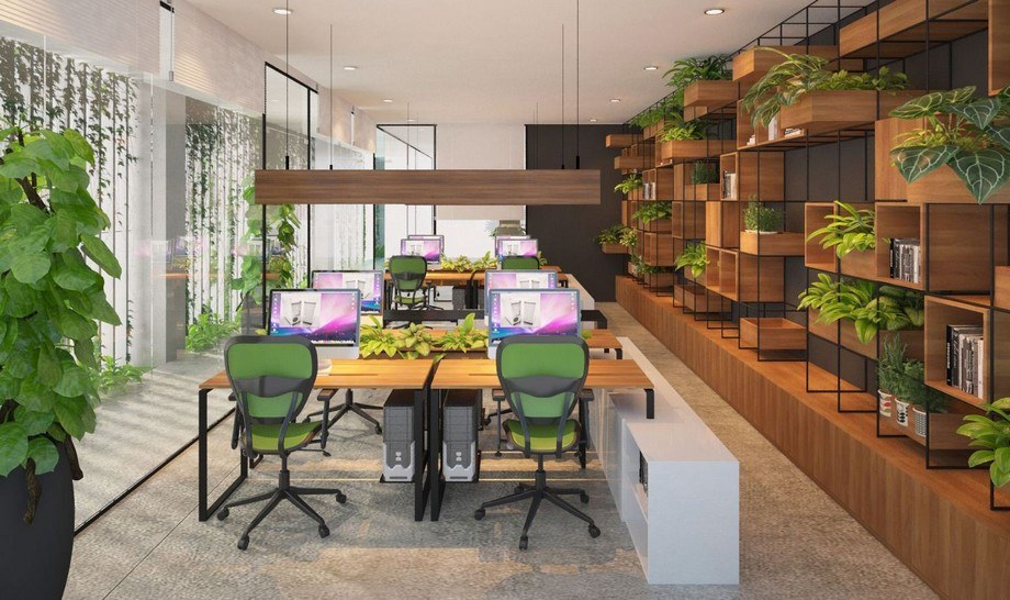 cung cấp cây xanh văn phòng trọn gói Hà Nội | Cây Xanh Đại Ngàn