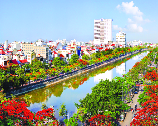 cây Phượng là cây xanh đô thị trồng phổ biến tại Việt Nam