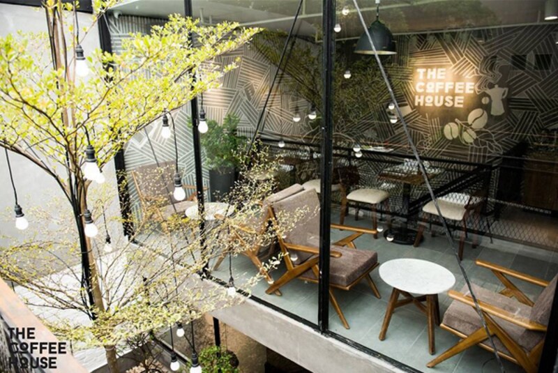 Cây Bàng Đài Loan trang trí nội thất quán cafe
