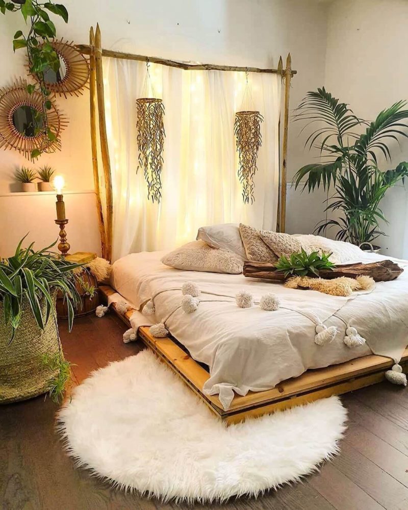cây ưa bóng râm thích hợp cho phòng ngủ