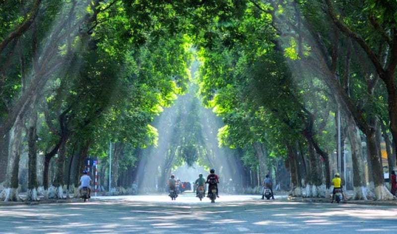 Cây xanh cảnh quan đô thị tại Hà Nội