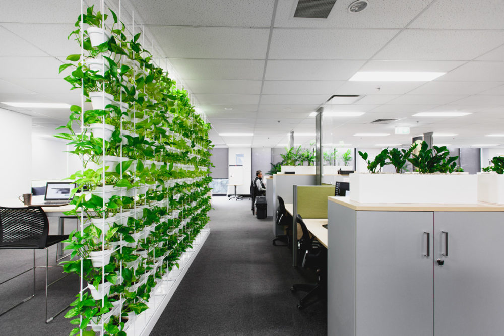 tư vấn thiết kế không gian cây xanh văn phòng