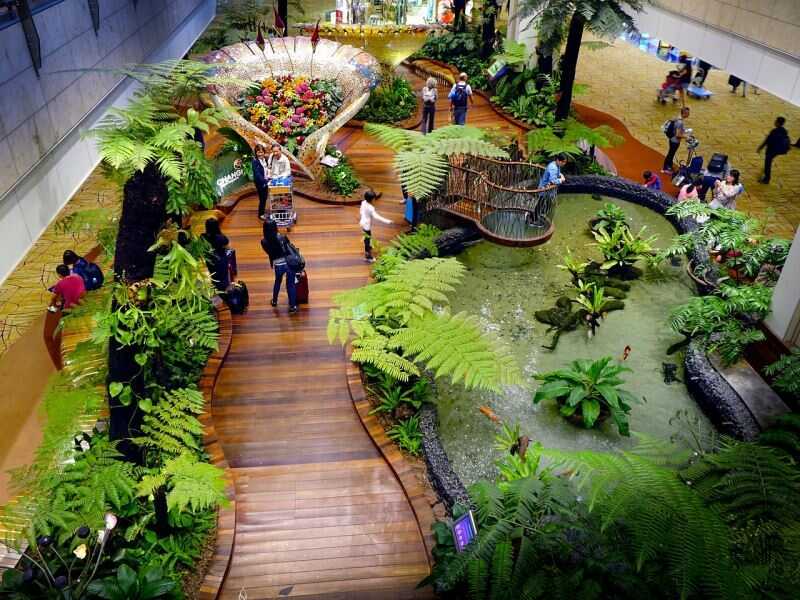 Dương Xỉ được trồng trang trí tiểu cảnh tại sân bay Changi Singapore