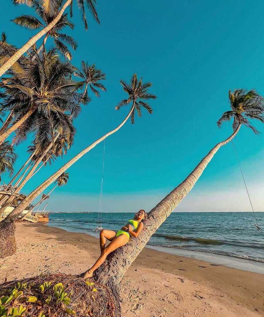 Cây Dừa công trình bờ biển đẹp