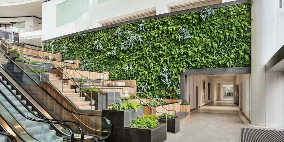 Thi công tường cây xanh cho công ty, văn phòng | Cây Xanh Đại Ngàn