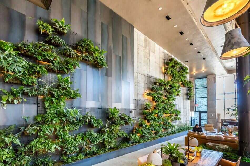 Thiết kế thi công vườn tường cây xanh quán cafe