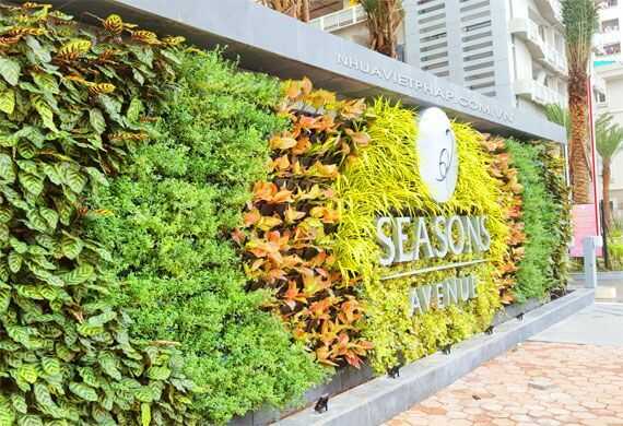 Thiết kế thi công vườn tường cây xanh ngoại thất resort