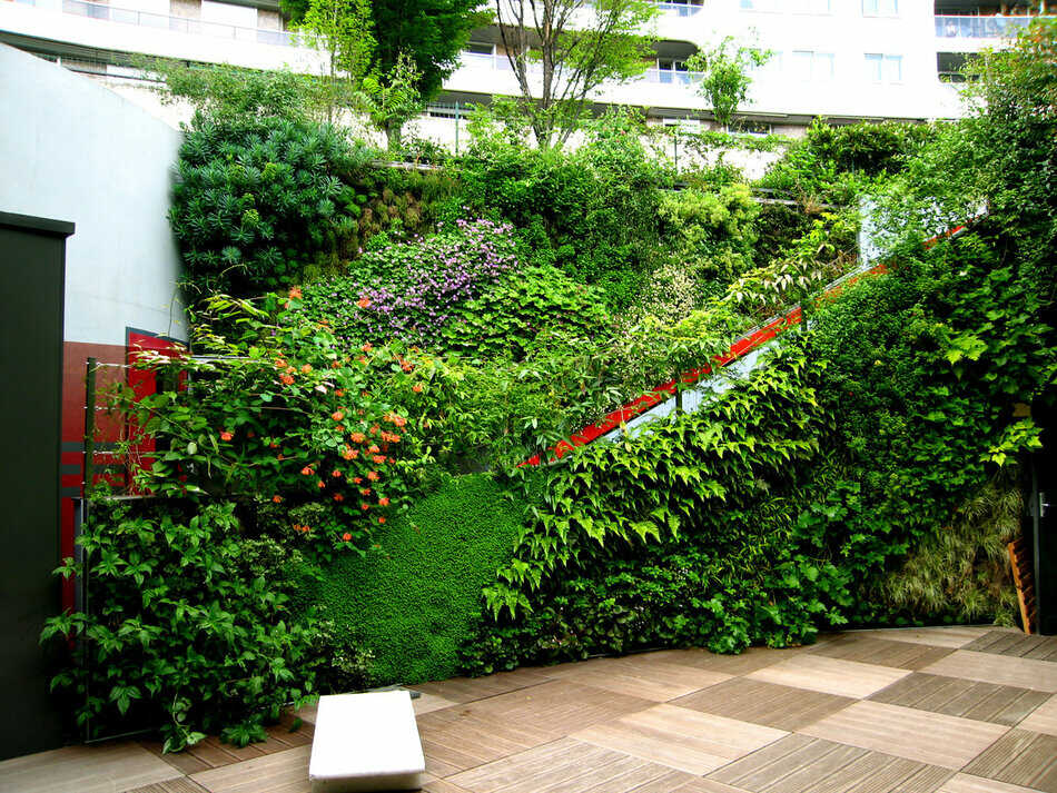 Vườn tường cây xanh | Cây Xanh Đại Ngàn