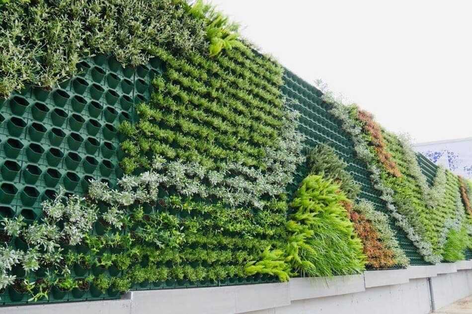 mẫu trang trí tường cây xanh đẹp