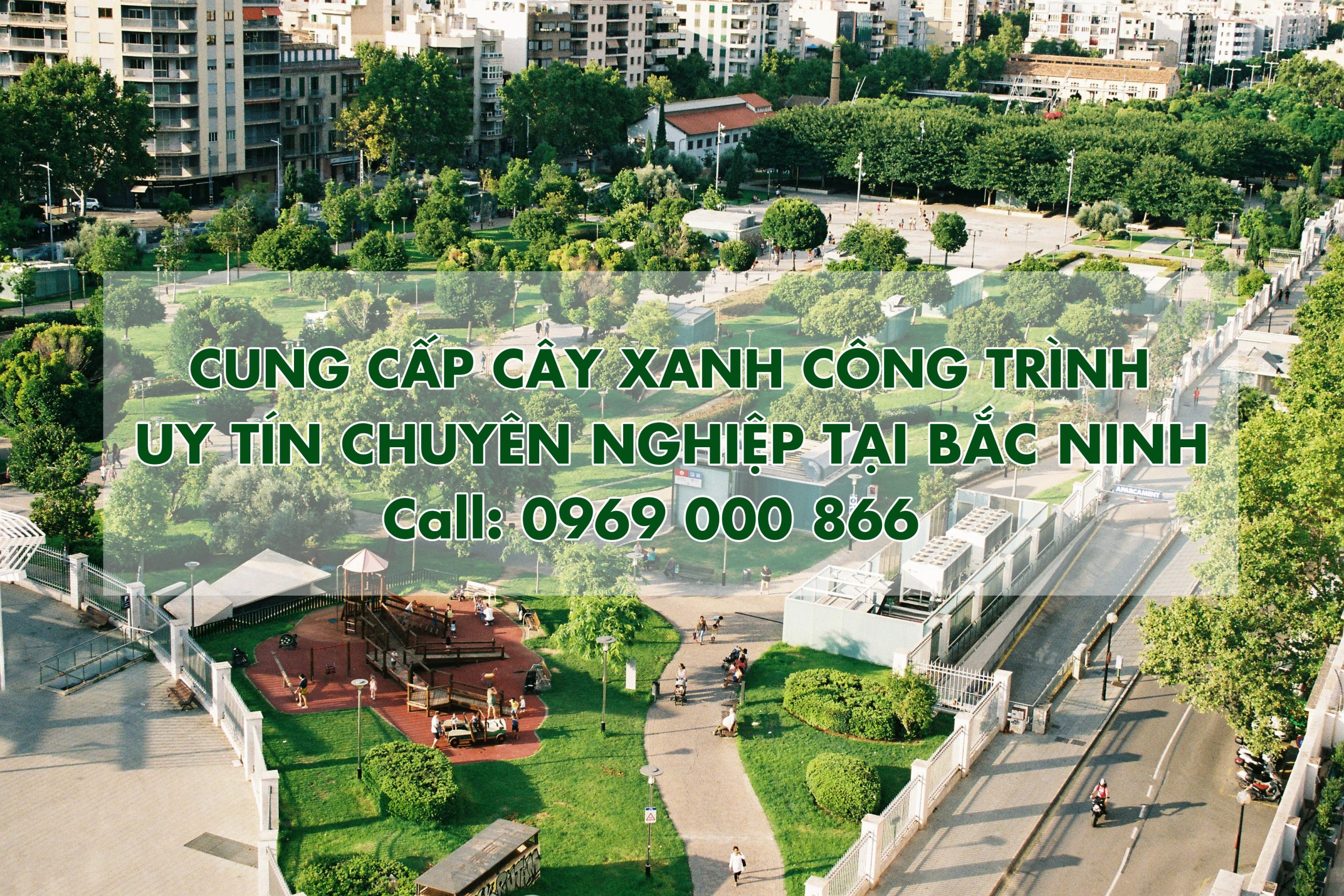 Cung cấp Cây Xanh công trình tại Bắc Ninh uy tín, chuyên nghiệp
