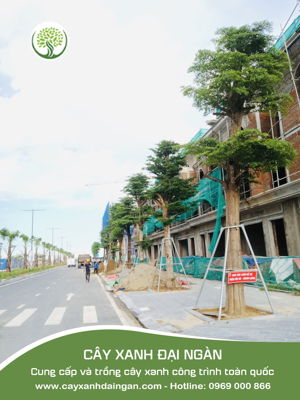 công ty cung cấp thi công cây xanh khu công nghiệp Bắc Giang